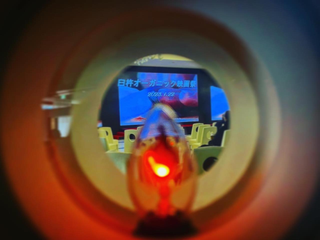 臼杵オーガニック映画祭