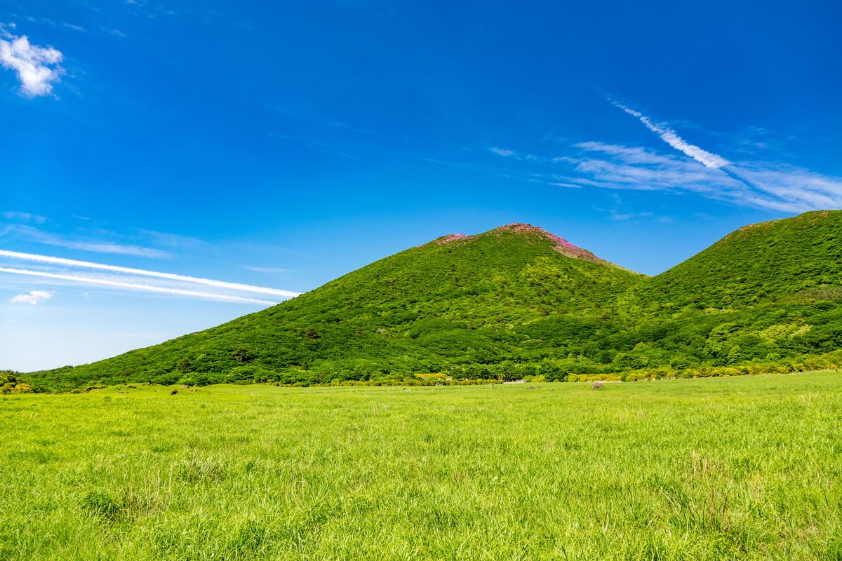 野生の猪や鹿の狩猟肉を使用したジビエのペットフード通販なら大分市にある”FAVeUR!（ファブール）”へ。